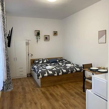 Cozy 1 Bedroom Studio In The Center Of Pilsen Ngoại thất bức ảnh